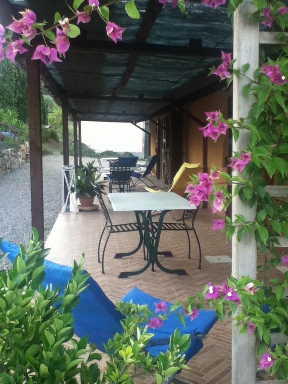 Agriturismo Podere Mulinaccio Ribolla Exteriör bild